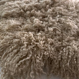 Teeswater (boucles blanches - L)