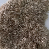 Teeswater (boucles blanches - L)