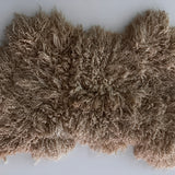 Teeswater (boucles blanches - L)