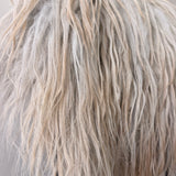 Drents Heideschaap