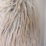 Drents Heideschaap