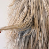 Drents Heideschaap