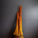 Hutchinson Yellow (Salix Fragilis) - Dormant Rods|244-305cm (8-10FT)-Farm Pickup